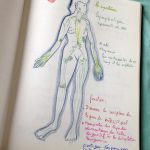 ©IDMouvements_AnatomieC
