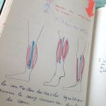 ©IDMouvements_AnatomieD