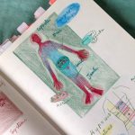 ©IDMouvements_AnatomieF