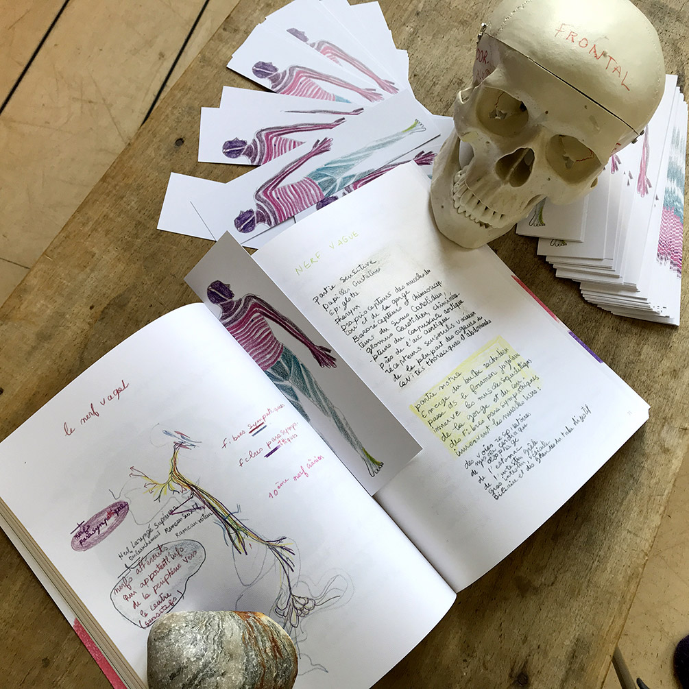Des marque-pages pour agrémenter cette seconde édition à commander en ligne