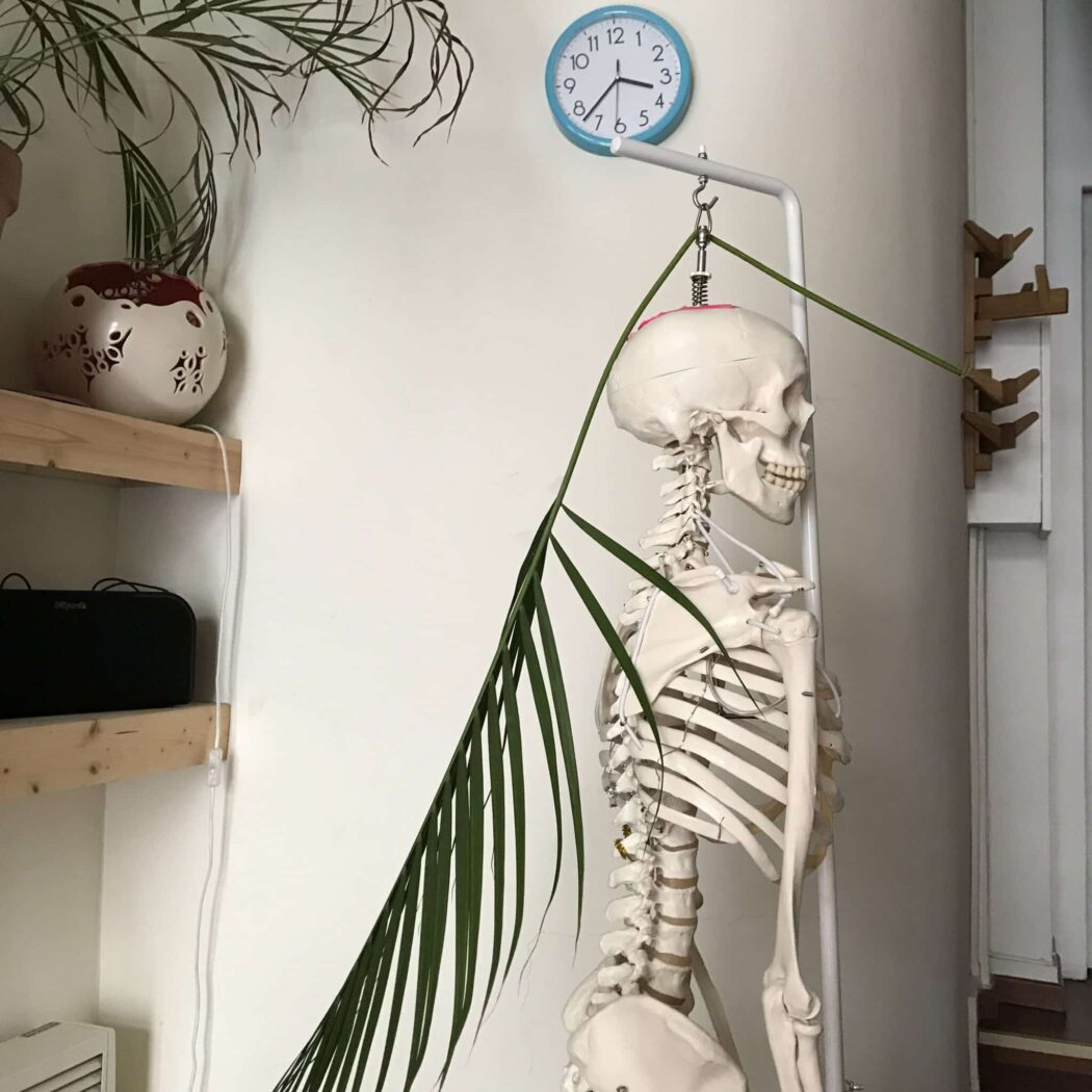 un atelier de la Méthode Feldenkrais. Une colonne qui respire.